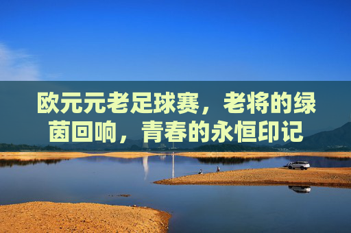 欧元元老足球赛,老将的绿茵回响,青春的永恒印记