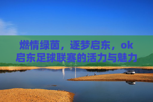 燃情绿茵,逐梦启东,ok启东足球联赛的活力与魅力