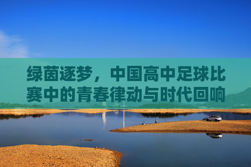 绿茵逐梦,中国高中足球比赛中的青春律动与时代回响