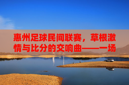 惠州足球民间联赛,草根激情与比分的交响曲——一场场热力四射的草根足球盛宴