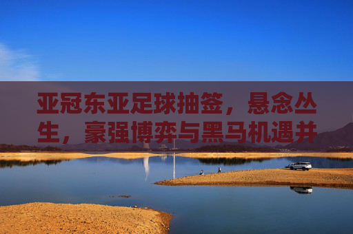 亚冠东亚足球抽签,悬念丛生,豪强博弈与黑马机遇并存