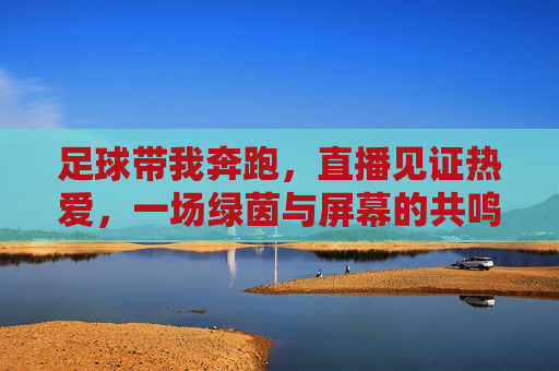 足球带我奔跑,直播见证热爱,一场绿茵与屏幕的共鸣之旅