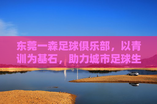 东莞一森足球俱乐部,以青训为基石,助力城市足球生态的构建
