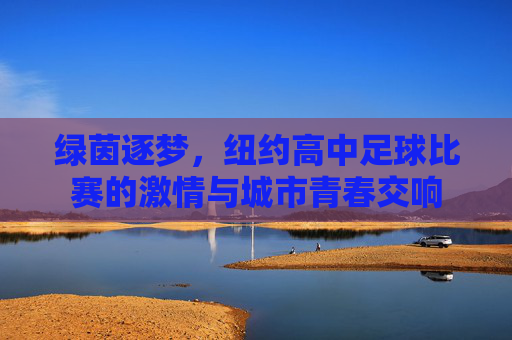绿茵逐梦,纽约高中足球比赛的激情与城市青春交响