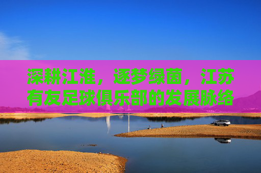深耕江淮，逐梦绿茵，江苏有友足球俱乐部的发展脉络与未来展望