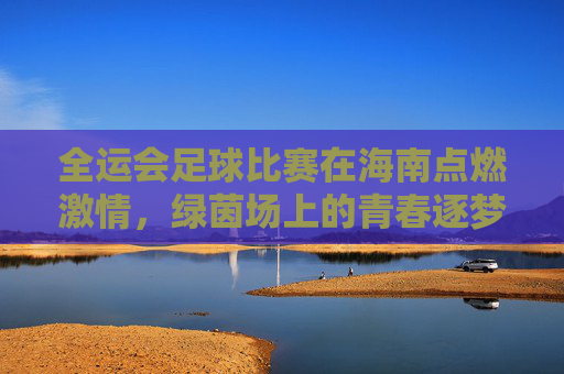 全运会足球比赛在海南点燃激情,绿茵场上的青春逐梦与地域风采,全运会足球比赛在海南点燃激情,绿茵场上的青春逐梦与地域风采