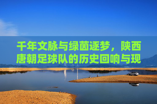 千年文脉与绿茵逐梦,陕西唐朝足球队的历史回响与现代征程