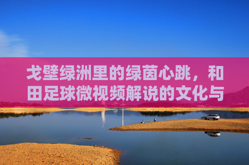 戈壁绿洲里的绿茵心跳,和田足球微视频解说的文化与活力叙事,戈壁绿洲里的绿茵心跳,和田足球微视频解说的文化与活力叙事