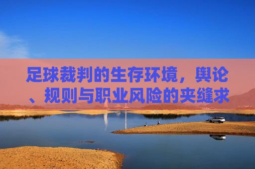 足球裁判的生存环境,舆论、规则与职业风险的夹缝求生