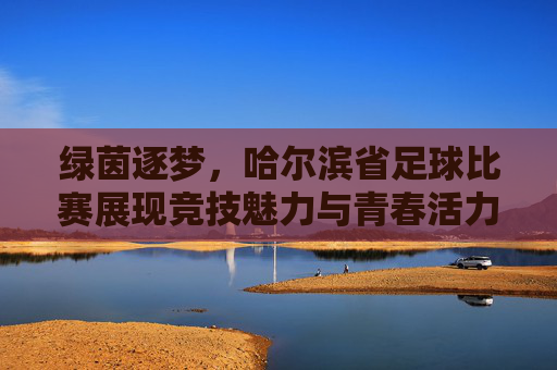 绿茵逐梦,哈尔滨省足球比赛展现竞技魅力与青春活力