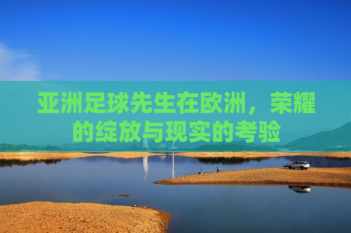 亚洲足球先生在欧洲,荣耀的绽放与现实的考验