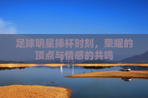 足球明星捧杯时刻，荣耀的顶点与情感的共鸣