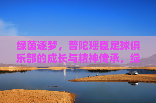 绿茵逐梦,普陀瑶臣足球俱乐部的成长与精神传承,绿茵逐梦,普陀瑶臣足球俱乐部的成长与精神传承