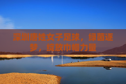 深圳唐姓女子足球,绿茵逐梦,绽放巾帼力量
