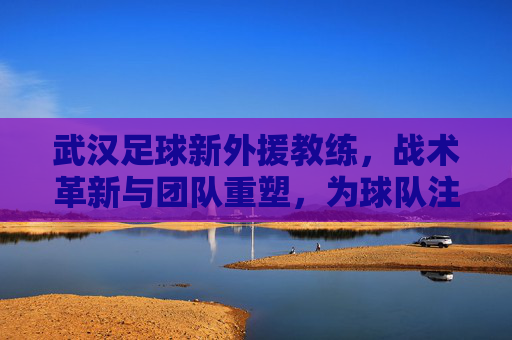 武汉足球新外援教练,战术革新与团队重塑,为球队注入新活力,武汉足球新外援教练,战术革新与团队重塑,为球队注入新活力