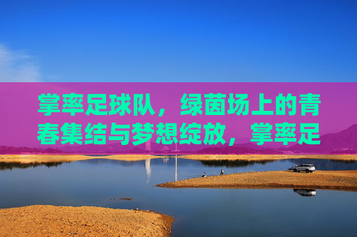 掌率足球队，绿茵场上的青春集结与梦想绽放，掌率足球队，绿茵场上的青春集结与梦想绽放