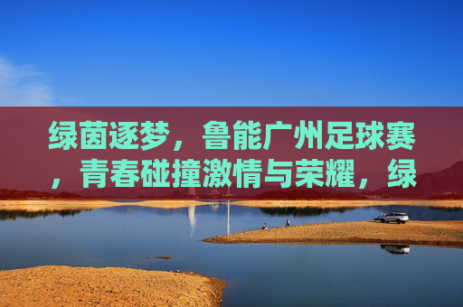 绿茵逐梦,鲁能广州足球赛,青春碰撞激情与荣耀,绿茵逐梦,鲁能广州足球赛,青春碰撞激情与荣耀