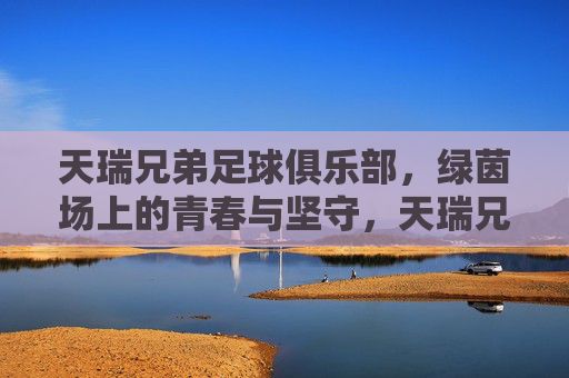 天瑞兄弟足球俱乐部,绿茵场上的青春与坚守,天瑞兄弟足球俱乐部,绿茵场上的青春与坚守