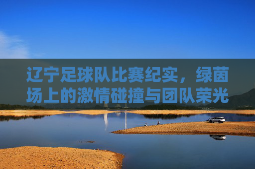辽宁足球队比赛纪实，绿茵场上的激情碰撞与团队荣光，辽宁足球队比赛纪实，绿茵场上的激情碰撞与团队荣光