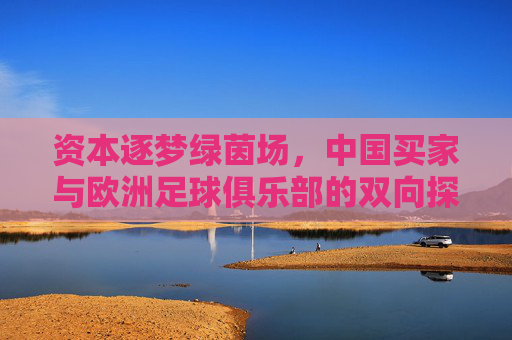 资本逐梦绿茵场,中国买家与欧洲足球俱乐部的双向探索,资本逐梦绿茵场,中国买家与欧洲足球俱乐部的双向探索