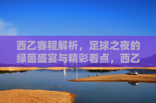 西乙赛程解析,足球之夜的绿茵盛宴与精彩看点,西乙赛程解析,足球之夜的绿茵盛宴与精彩看点