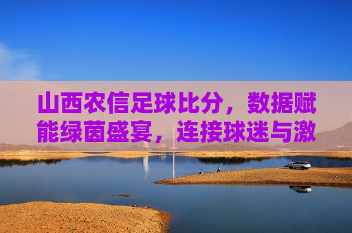 山西农信足球比分，数据赋能绿茵盛宴，连接球迷与激情，山西农信足球比分，数据赋能绿茵盛宴，连接球迷与激情