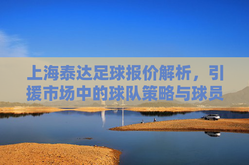 上海泰达足球报价解析,引援市场中的球队策略与球员价值评估,上海泰达足球引援报价解析,球队策略与球员价值评估