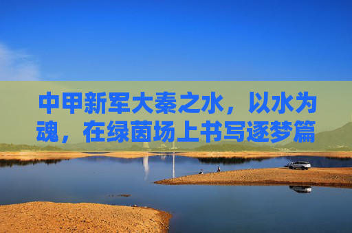 中甲新军大秦之水,以水为魂,在绿茵场上书写逐梦篇章,中甲新军大秦之水,以水为魂,绿茵场上逐梦新篇