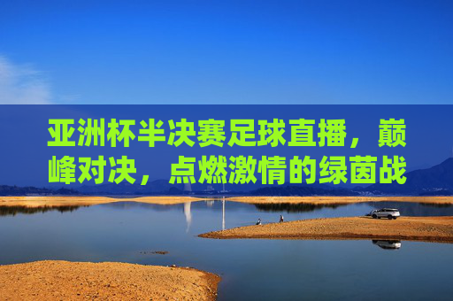 亚洲杯半决赛足球直播,巅峰对决,点燃激情的绿茵战场,亚洲杯半决赛足球直播,巅峰对决点燃激情的绿茵战场