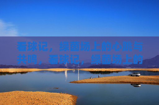 看球记，绿茵场上的心跳与共鸣，看球记，绿茵场上的心跳与共鸣