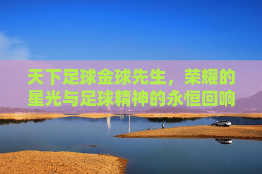 天下足球金球先生,荣耀的星光与足球精神的永恒回响