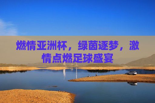 燃情亚洲杯,绿茵逐梦,激情点燃足球盛宴