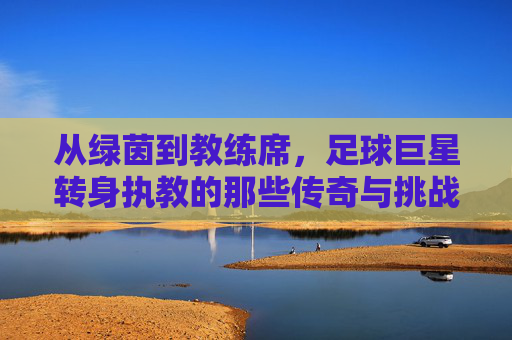 从绿茵到教练席,足球巨星转身执教的那些传奇与挑战,从绿茵到教练席,足球巨星转身执教的传奇与挑战
