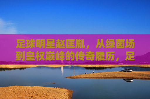 足球明星赵匡胤，从绿茵场到皇权巅峰的传奇履历，足球明星赵匡胤，从绿茵场到皇权巅峰的传奇履历