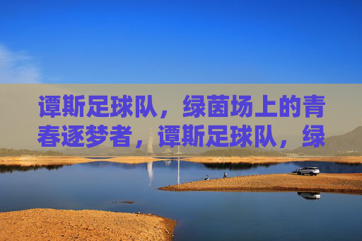谭斯足球队,绿茵场上的青春逐梦者,谭斯足球队,绿茵场上的青春逐梦者
