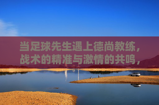 当足球先生遇上德尚教练，战术的精准与激情的共鸣，当足球先生遇上德尚教练，战术的精准与激情的共鸣
