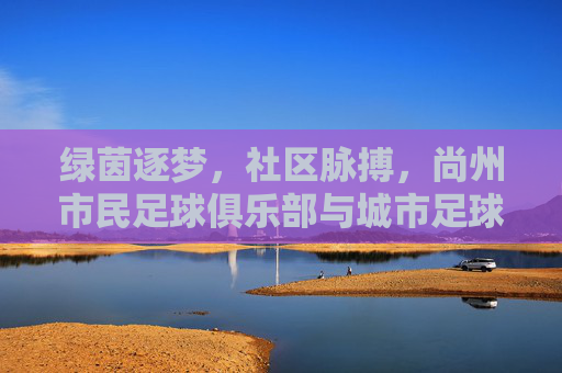 绿茵逐梦,社区脉搏,尚州市民足球俱乐部与城市足球的活力共生,绿茵逐梦,社区脉搏,尚州市民足球俱乐部与城市足球的活力共生
