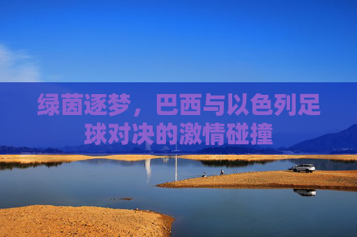 绿茵逐梦,巴西与以色列足球对决的激情碰撞