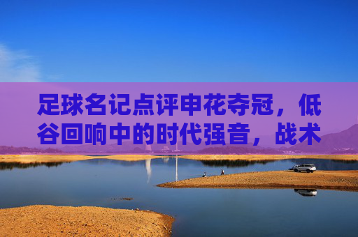 足球名记点评申花夺冠,低谷回响中的时代强音,战术智慧与团队精神的完美融合