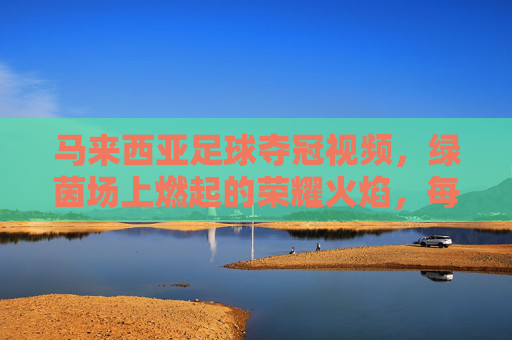 马来西亚足球夺冠视频,绿茵场上燃起的荣耀火焰,每一帧都是胜利的注脚