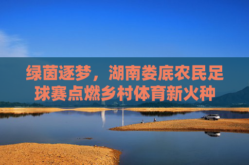 绿茵逐梦,湖南娄底农民足球赛点燃乡村体育新火种