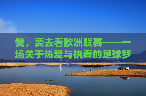 我,要去看欧洲联赛——一场关于热爱与执着的足球梦