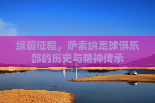 绿茵征程,萨索纳足球俱乐部的历史与精神传承