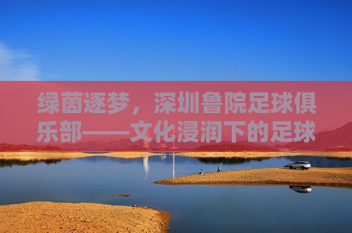 绿茵逐梦,深圳鲁院足球俱乐部——文化浸润下的足球新力量