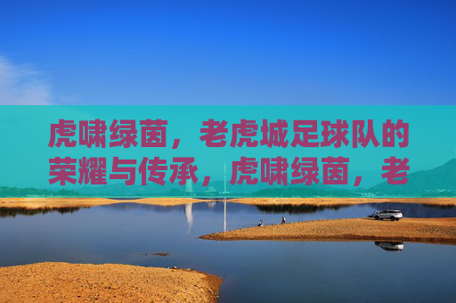 虎啸绿茵,老虎城足球队的荣耀与传承,虎啸绿茵,老虎城足球队的荣耀与传承