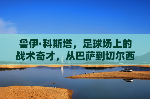 鲁伊·科斯塔,足球场上的战术奇才,从巴萨到切尔西的艺术足球践行者
