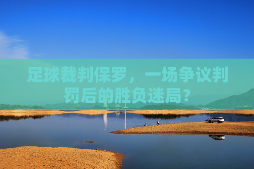 足球裁判保罗,一场争议判罚后的胜负迷局?