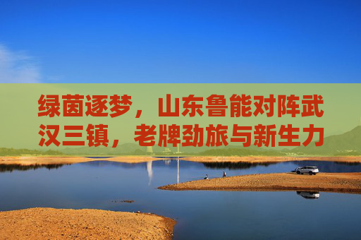 绿茵逐梦,山东鲁能对阵武汉三镇,老牌劲旅与新生力量在赛场上的激烈博弈与精彩绽放,绿茵逐梦,山东鲁能对阵武汉三镇,老牌劲旅与新生力量赛场激烈博弈与精彩绽放