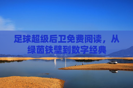 足球超级后卫免费阅读,从绿茵铁壁到数字经典