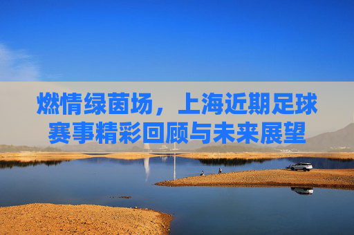 燃情绿茵场,上海近期足球赛事精彩回顾与未来展望